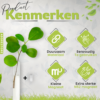 Muurvaasjes - Set van 6 - Afbeelding 8
